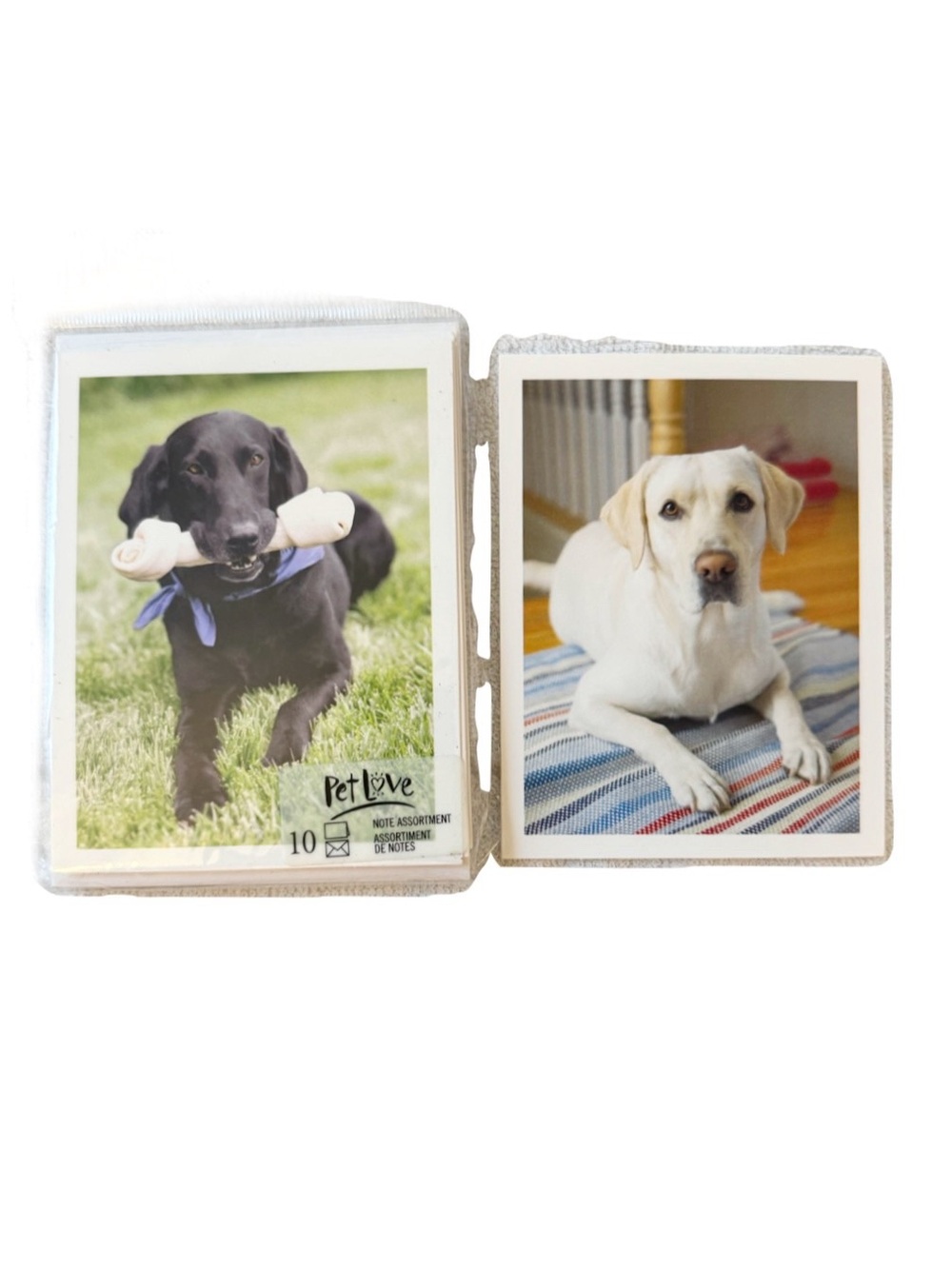10 Cards 3 for 15 SALE CLEARANCE Hallmark Labrador